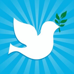 article image - 